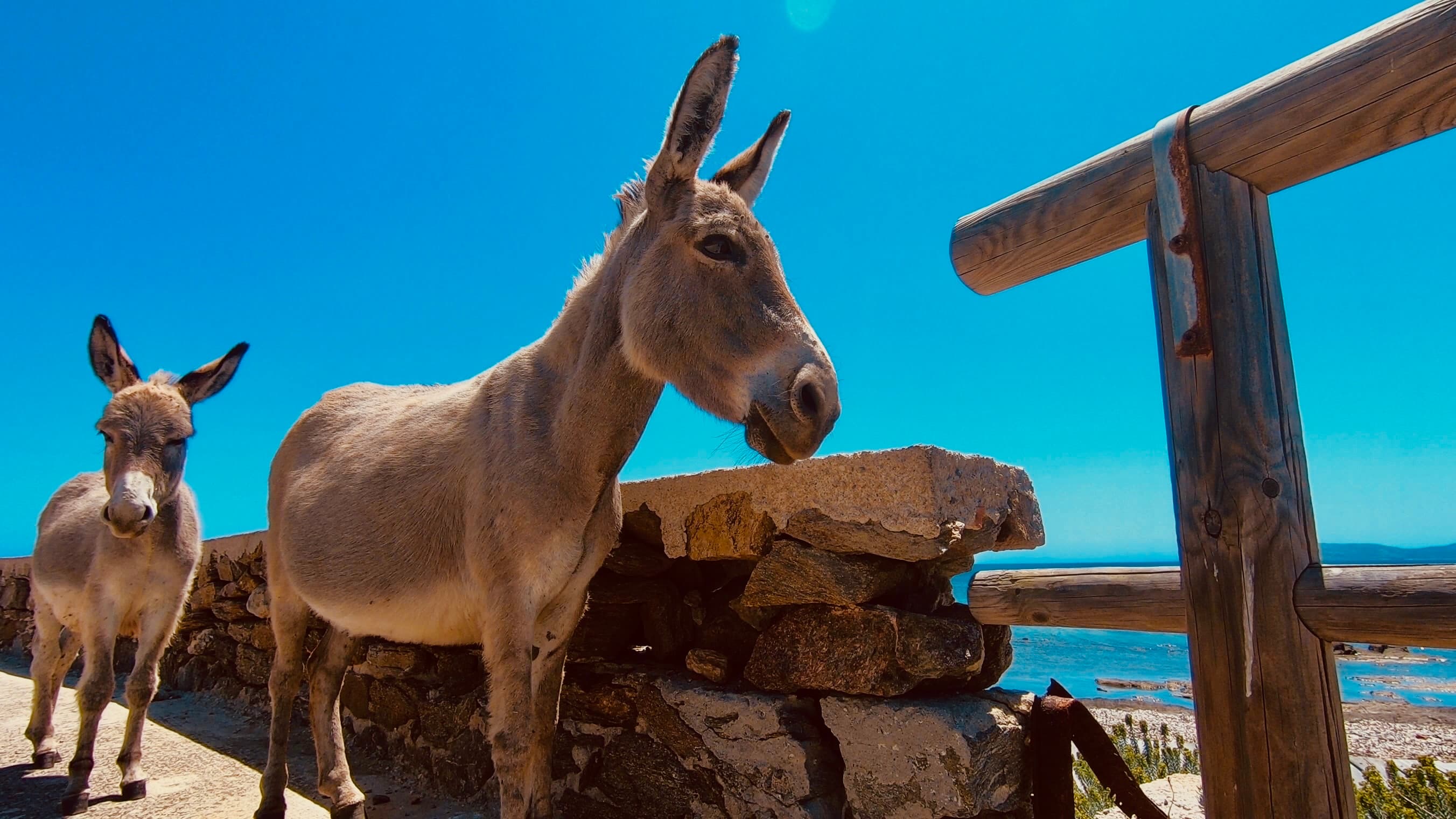 Nationalpark Asinara