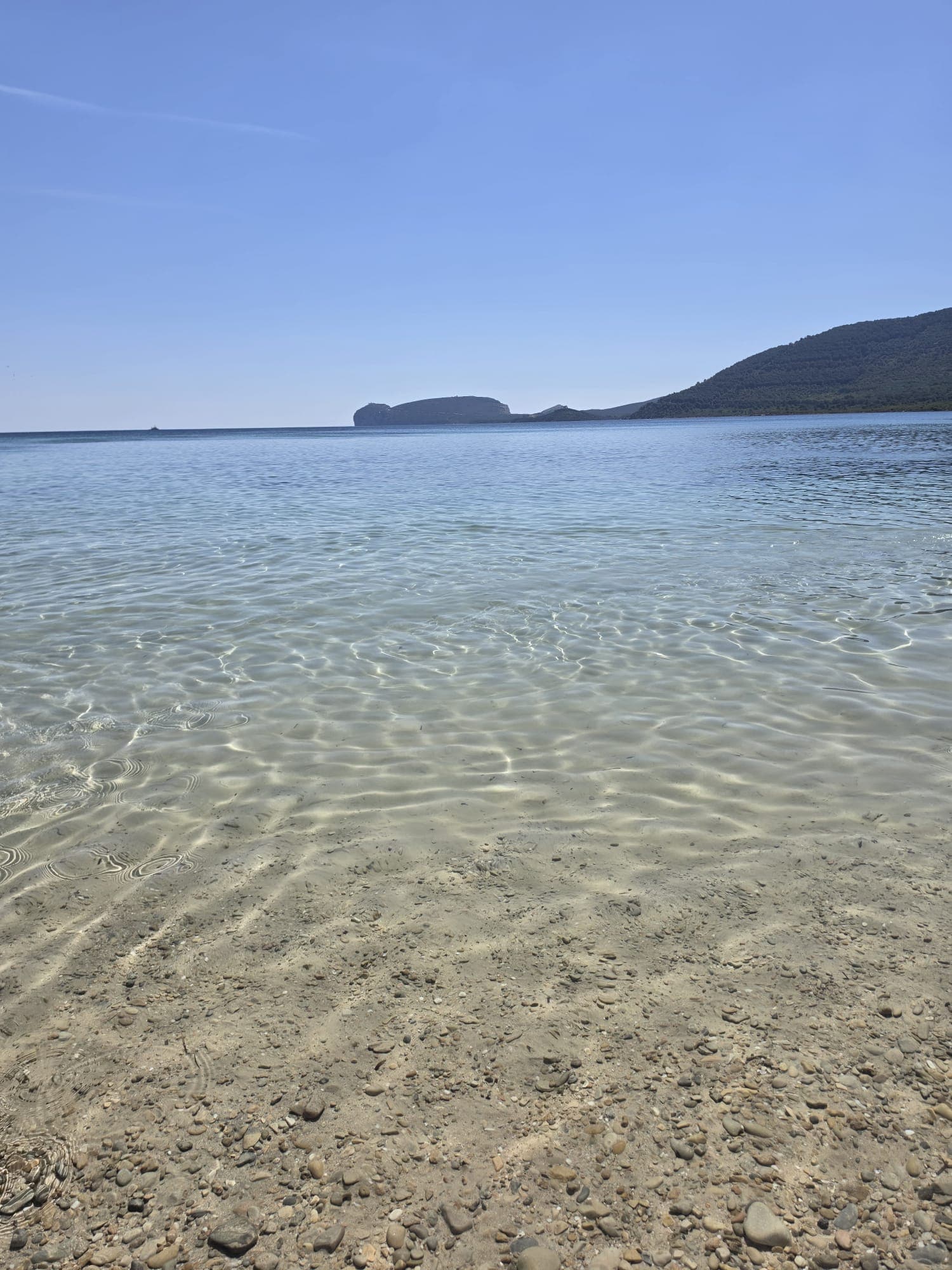 Die schönsten Strände in der Nähe von Alghero